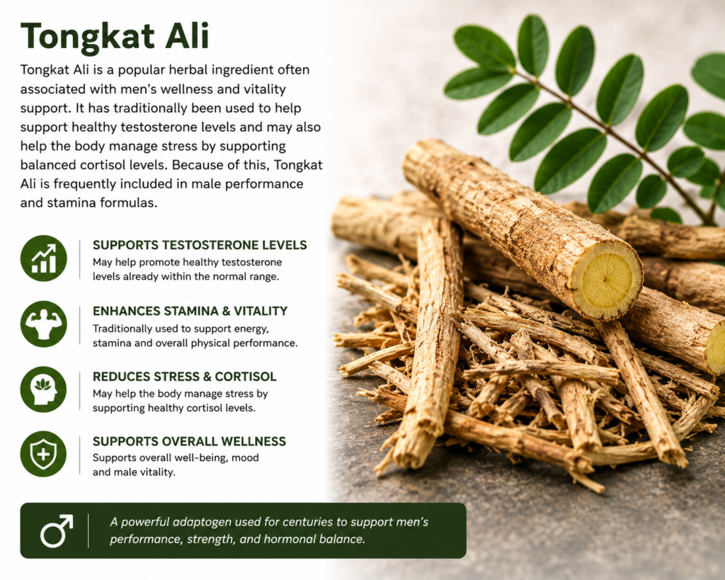 Tongkat Ali ingredient in Spartamax